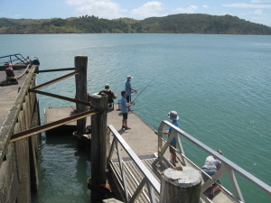 Fishing from the pontoon