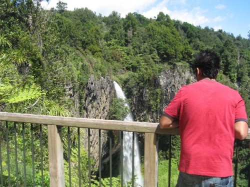 Visitor studies the cascading flow of the Bridal Veil/ Waireinga Falls