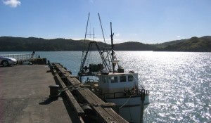 Fishing boat tied up at Raglan Wharf