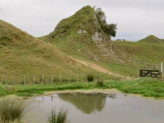 Limestone out crop on the Karamu Wlakway - Image John Lawson