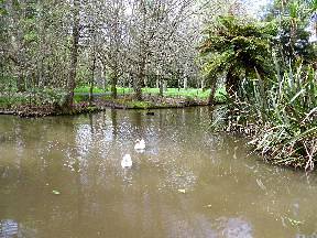 Trees from around the world at the Taitua Arboretum - Image John Lawson