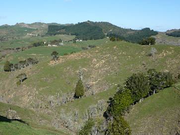 Scenes from the Whatawhata Hill Country Station