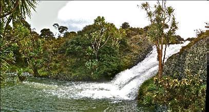 Waterfall on the Toreparu walk - Image John Lawson