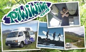 111027piwiwiwi-enhanced-listing-bottom-pic1