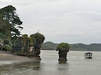 Limestone stacks on the northern side of Raglan Harbour - Image John Lawson