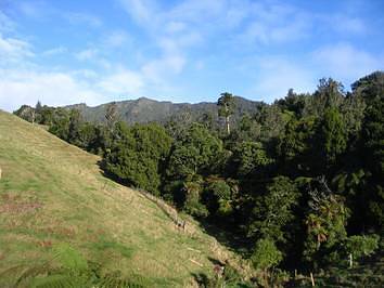 131114TeHutewaiRdarea's bush has survived below the 200 metre contour. Te Hutewai Rd towards Karioi. This is an area where Karioi's bush has survived below the 200 metre contour.