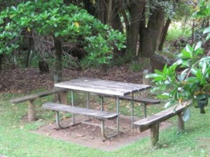 One of the picnic tables nestled in the trees in the Bush Park 