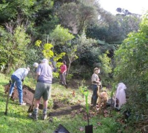 Friends of Wainui at work on a planting project. - Image FofW