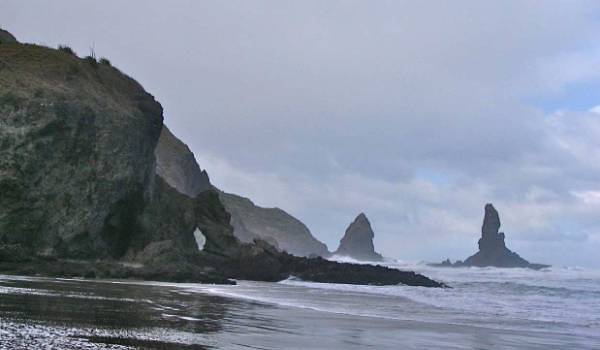 On the coast near Piha. Image John Lawson