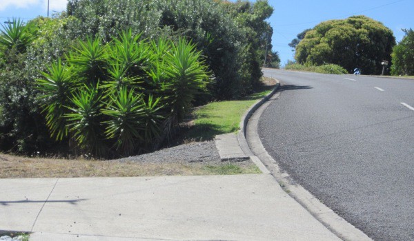 The Simon Rd footpath stops at the most dangerous point, on a steep hill, with bushes blocking visibility
