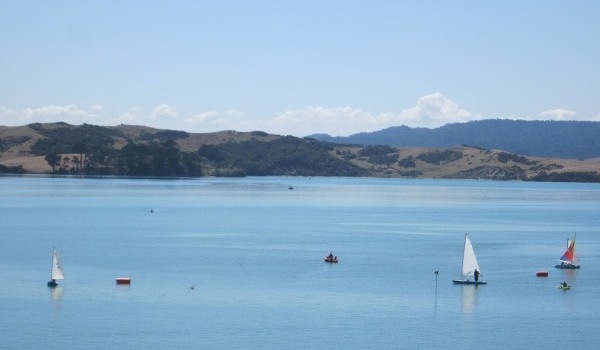 Yachts from the Raglan Sailing Club making the most of a light breeze on Raglan Harbour.