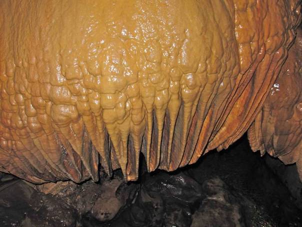 Stalactites in Adventure Waikato cave- Image John Lawson
