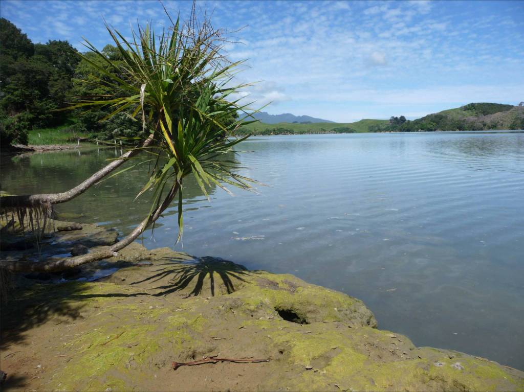 Harbour view for Peart's Finger - Image John Lawson