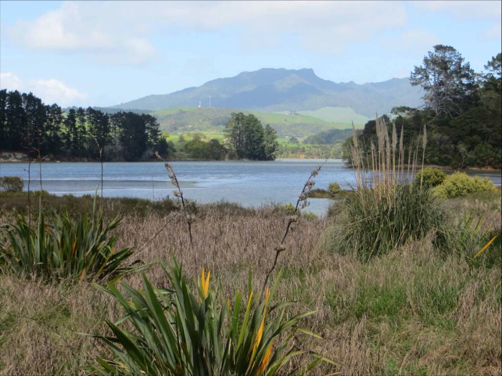 View of Kaitoke with Mt Karioi in background - Image John Lawson