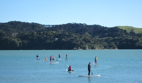Stand Up Paddle Borders setting off from the wharf to enjoy the perfect flat conditions on the harbour and the sunny day