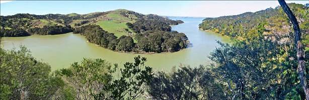 Pakoka Estuary on the Aotea Harbour. Image John Lawson