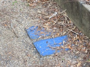 111029WaterMeterCoverIMG_0475-300x224