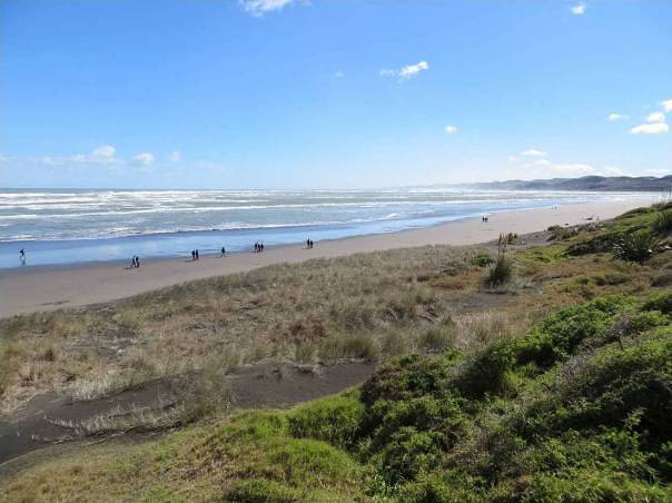 Raglan Ramblers stroll along Ngarunui Beach - Image John Lawson