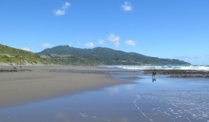 Mount Karioi provides a magnificent backdrop for the views along beach