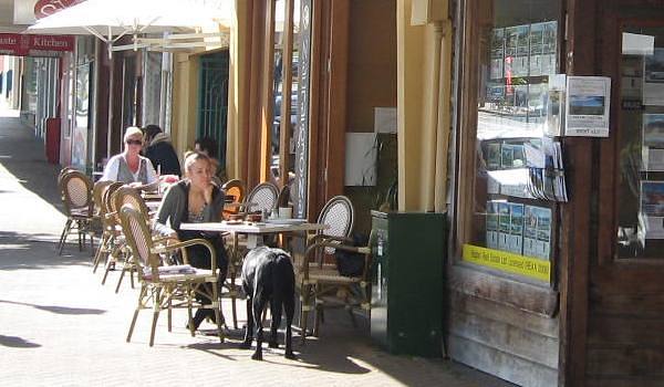 Dogs on Bow St will soon be legal - File photo