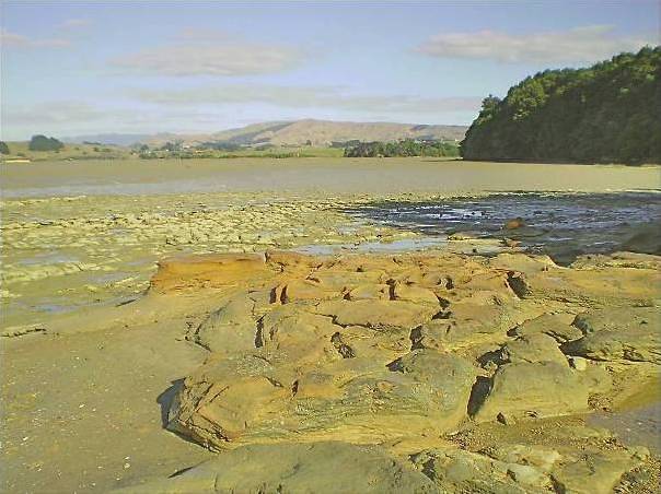 Scene on the Peart's Finger walk - Image John Lawson