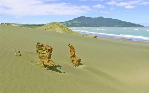 View from Mussel Rock with Mount Karioi in the distance - Image John Lawson