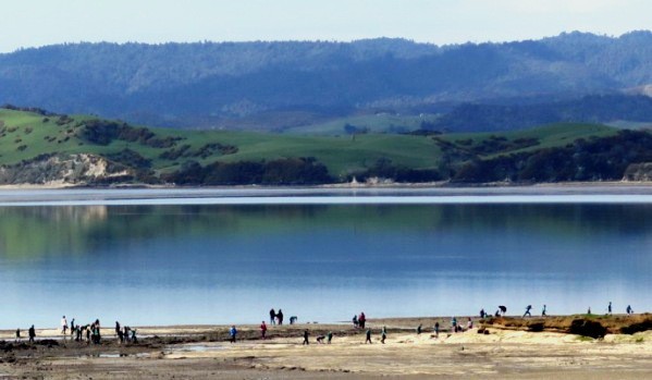 Raglan Harbour from Lorenzen Bay