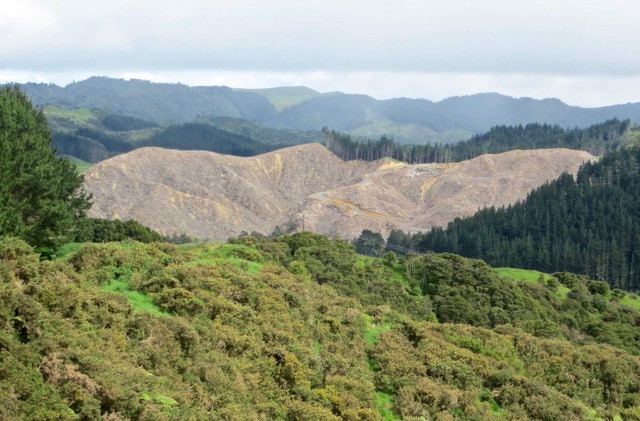 One of the two contentious sites, which are either side of the divvy