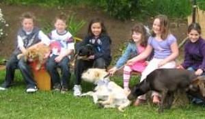 130403Dogs