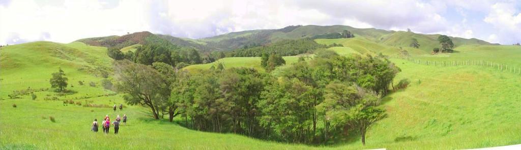 View of Ramblers walking towards the Mangakino - Image John Lawson