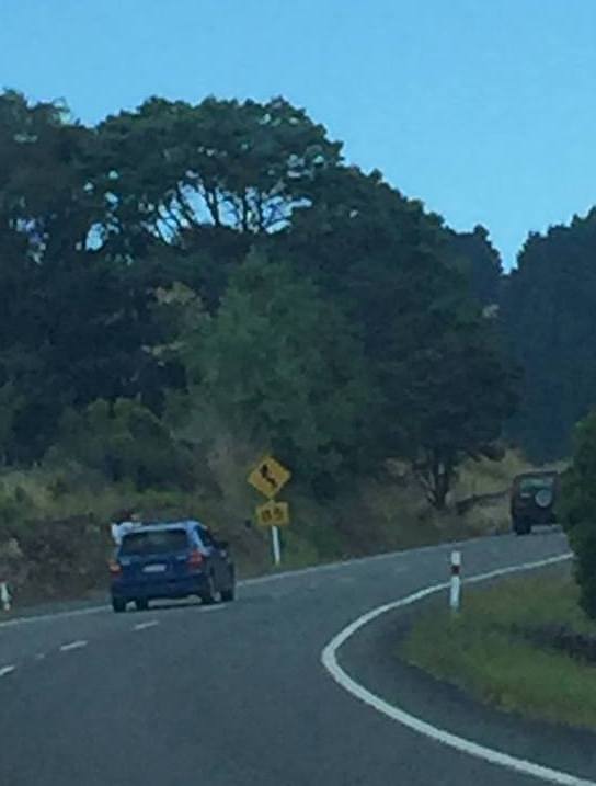 According to Waikato Road Policing, the passenger was not very apologetic. Image NZ Police