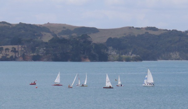 Sailors from Raglan Sailing Club round a buoy off Lorenzen Bay