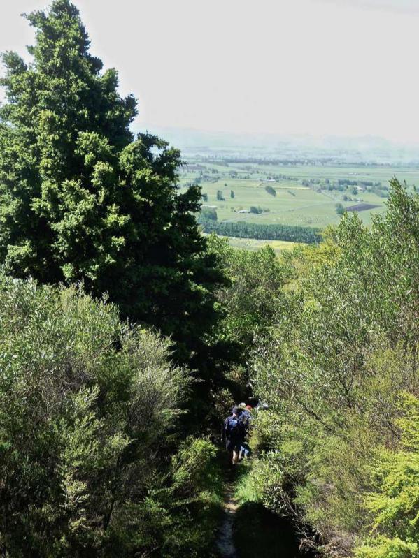 View from Pukemokemoke - Image John Lawson