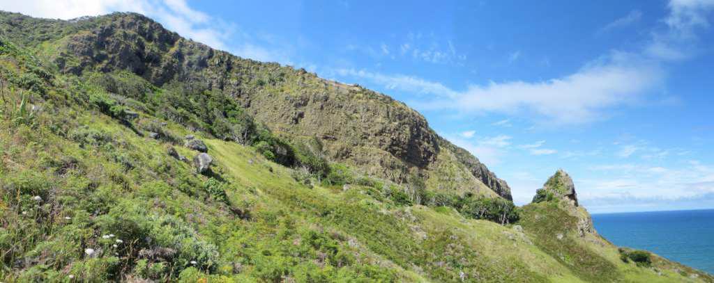 Te Toto Gorge has the most dramatic scenery on Raglan's coast