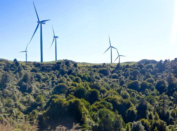 Part of Te Uku wind farm - Image John Lawson