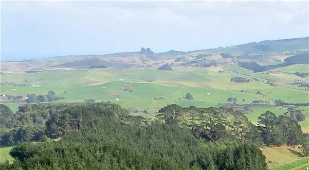 View from Karioi on new walk. Image John Lawson