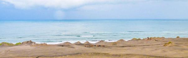 Sand dunes and the Tasman Sea - Image John Lawson
