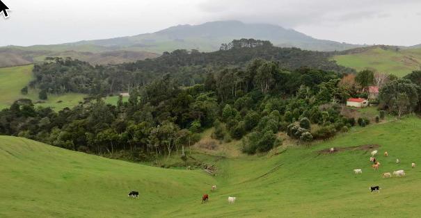 On the Papatapu Rd walk - Image John Lawson