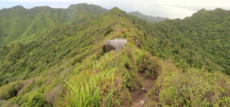 Ascending Karioi from Ruapuke side along the ridge – Image John Lawson