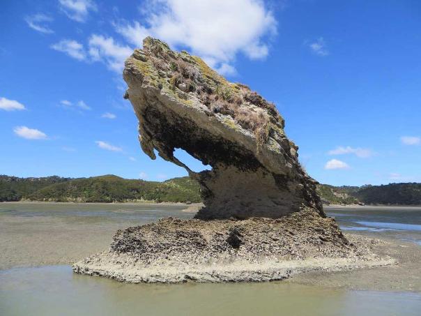 Aotea Harbour has many unique rock formations on its south shore. - Image John Lawson