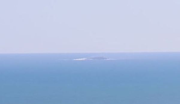 Gannet Island - photo in WRC report