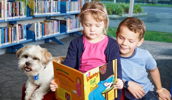 Dogs coming soon to Raglan Library - Image WDC