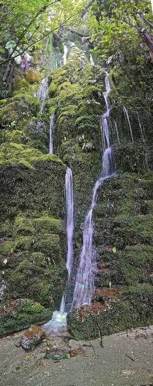 Tarawera Falls - Image John Lawson