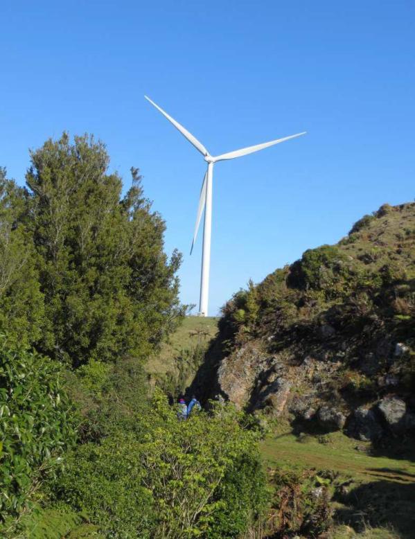 Turbine tower at Te Uku Wind Farm with a few Raglan Ramblers below it - Image John Lawson