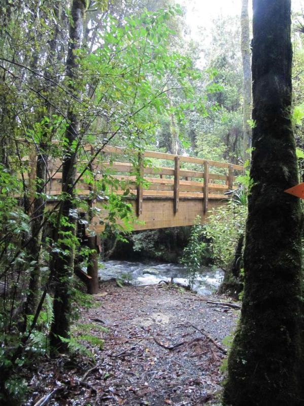 Bridge on the nikau walk to the Kaniwhaniwha cave - Image John Lawson