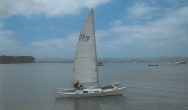The catamaran, 6 metres (21ft) in length with sail ID number T878. it is white with blue anti-fouling paint under the waterline. - Image supplied
