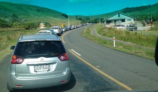 Traffic line on Wainui Road 20th Jan. Imge FB Kevin Larkin