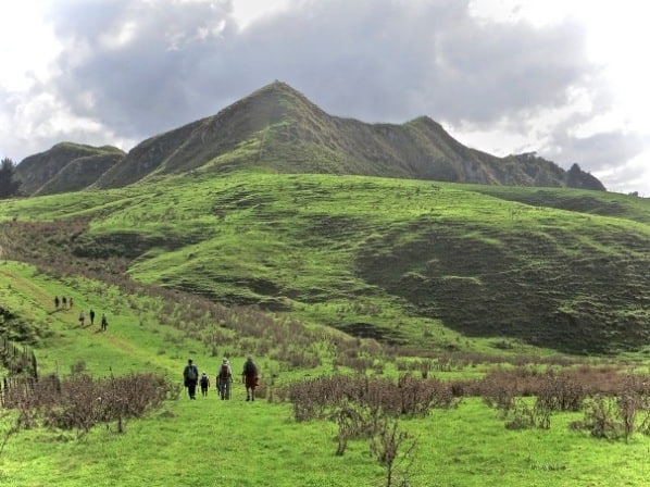 Karamu Walkway to the Limeworks Loop Rd is 11km along a ridge - Image John Lawson