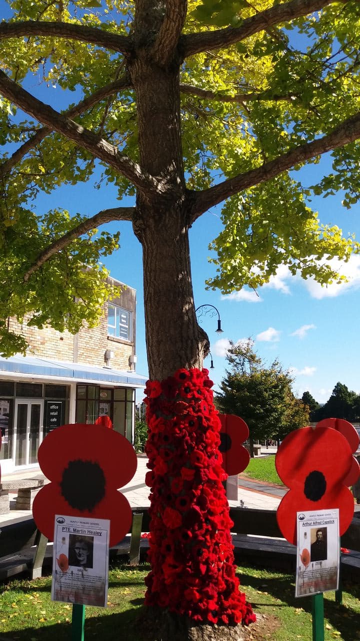 Tree decorated with knitted poppies in Garden Place, Huntly, by Huntly Friendship House and supporters including local school children.