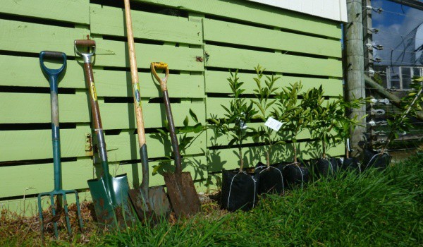 Pick up the tool you need from the WEC tool library - Image supplied